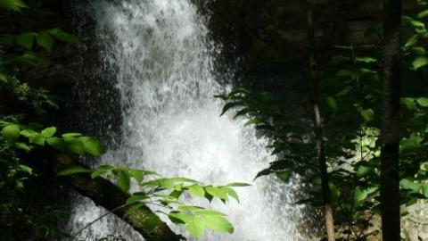 Swallows and Falls - Webwood-Falls43.jpg