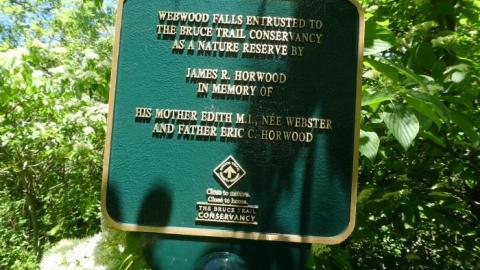 Swallows and Falls - Webwood-Falls27.jpg