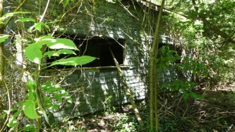 Photo from Swallows and Falls