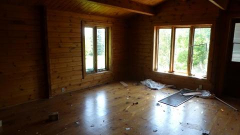 Elmo's World - P1010647Copy.jpg