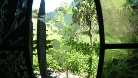 Elmo's World - P1010656.jpg