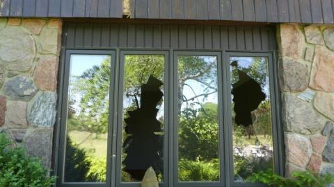 Elmo's World - P1010658.jpg