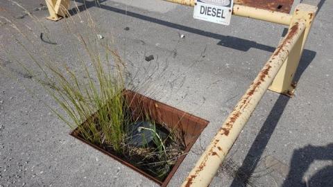 July 2019 Exterior - 17.jpg