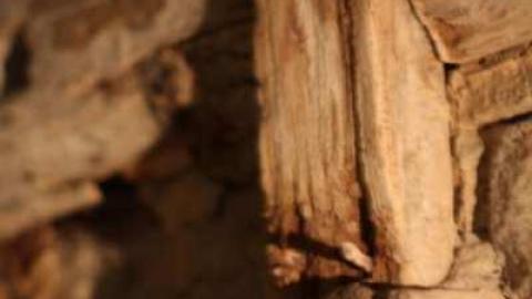 Gallery - Schoal-Tower12.jpg