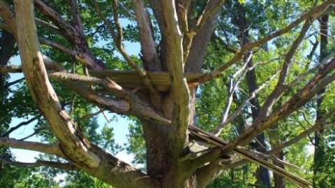 Smells Like Teen Spirit - IMG_3113.jpg