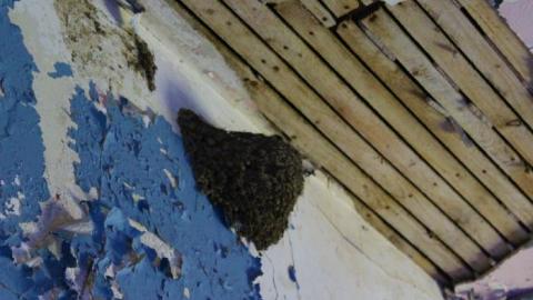 Smells Like Teen Spirit - IMG_3142.jpg