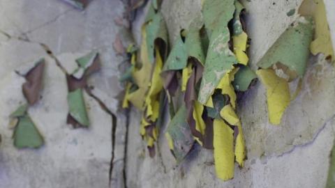 Photo from Smells Like Teen Spirit