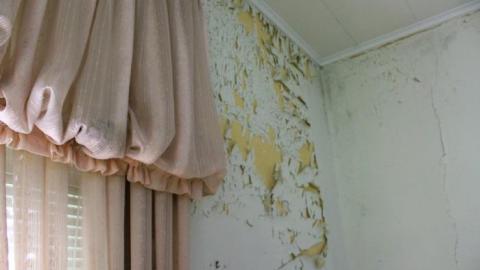 Photo from Steve & Sue's