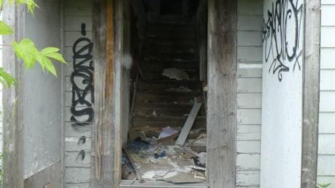 Cleaned up Yesterday - P1010798.jpg