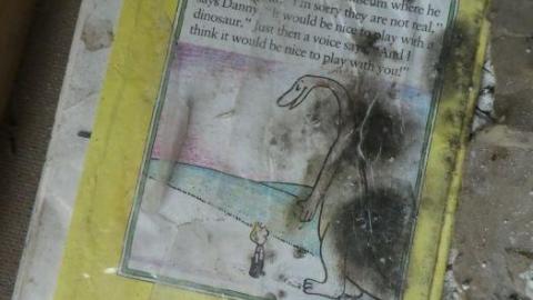 Cleaned up Yesterday - P1010799.jpg