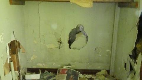 Cleaned up Yesterday - P1010805.jpg