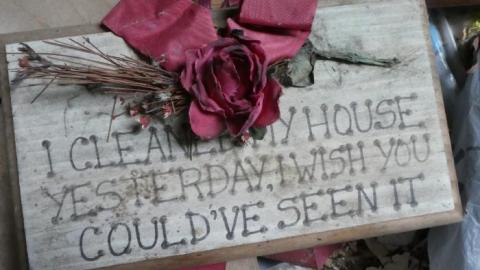 Cleaned up Yesterday - P1010810.jpg