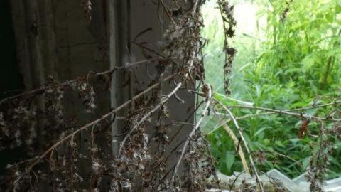 Photo from Cleaned up Yesterday