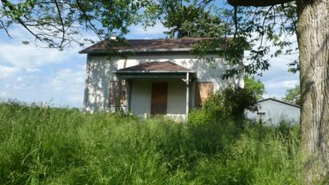 Watching You - P1010816.jpg