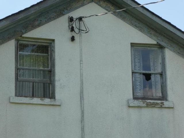 Watching You - P1010818.jpg