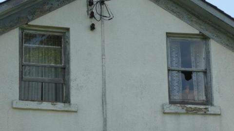 Watching You - P1010818.jpg