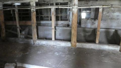 Watching You - P1010820.jpg