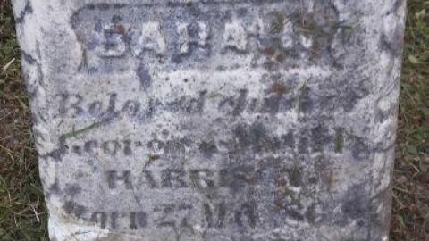 Photo from St George's Cemetary, Jul 2019