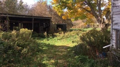 Photo from October 2018 