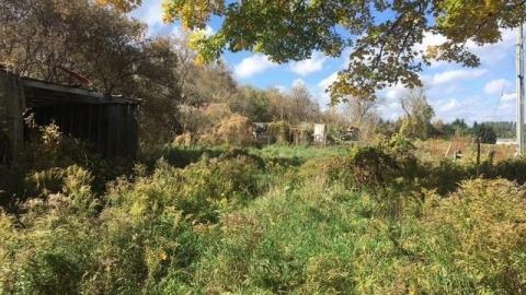 Photo from October 2018 