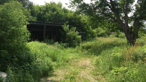 July 2019 - Latched-Into-Darkness112.jpeg