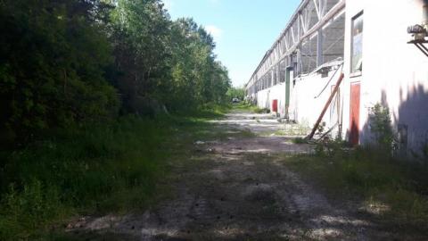 Abandoned factory, July 2019 - 20190711_170637.jpg