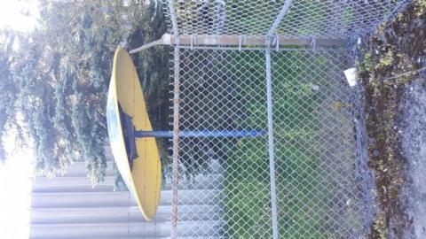 Abandoned factory, July 2019 - 20190711_171117.jpg