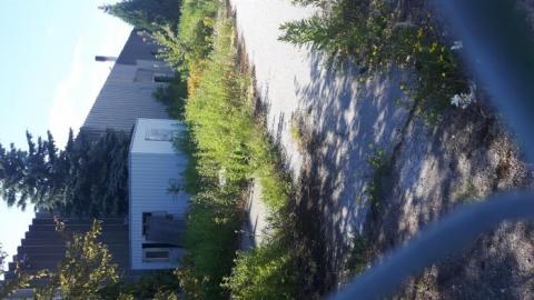 Abandoned factory, July 2019 - 20190711_171145.jpg