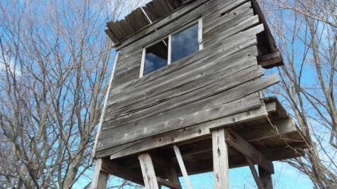 Photo from July 2019