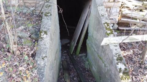 Photo from July 2019