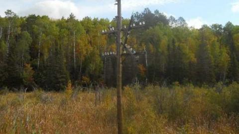 September-November 2011 - Redwater-(ghost-town-gallery)10.jpg