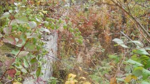 September-November 2011 - Redwater-(ghost-town-gallery)12.jpg