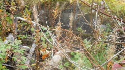 September-November 2011 - Redwater-(ghost-town-gallery)3.jpg