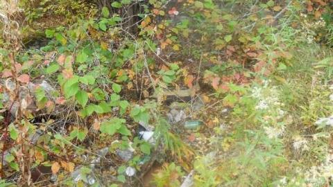 September-November 2011 - Redwater-(ghost-town-gallery)4.jpg