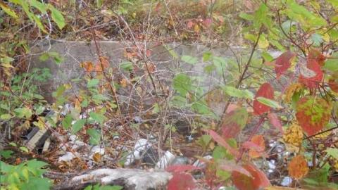 September-November 2011 - Redwater-(ghost-town-gallery)14.jpg