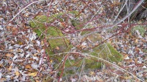 September-November 2011 - Redwater-(ghost-town-gallery)8.jpg