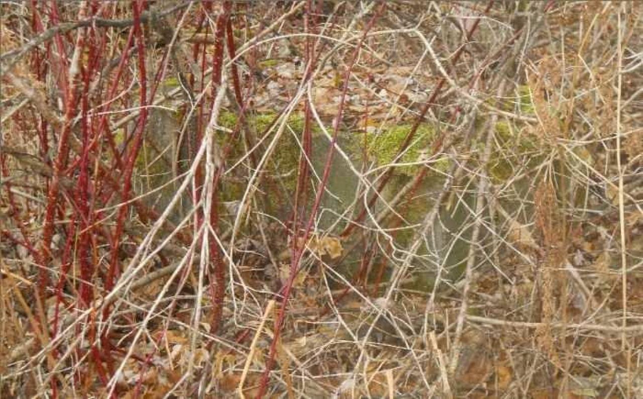 September-November 2011 - Redwater-(ghost-town-gallery)18.jpg