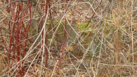 September-November 2011 - Redwater-(ghost-town-gallery)18.jpg