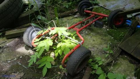 Where hockey sticks go to die - Pinkerton-Farm15.jpg