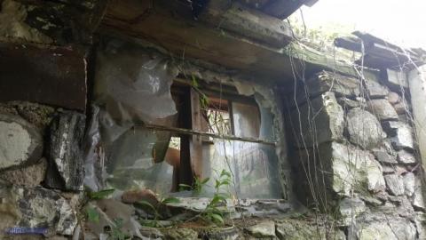 Where hockey sticks go to die - Pinkerton-Farm16.jpg