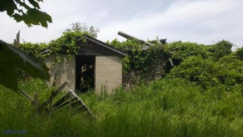 Where hockey sticks go to die - Pinkerton-Farm19.jpg