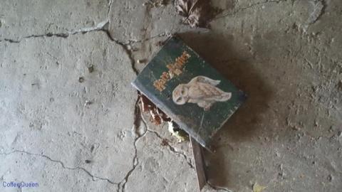 Where hockey sticks go to die - Pinkerton-Farm25.jpg