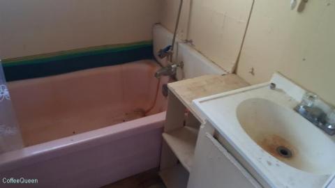 Photo from Hockley Village Hideout