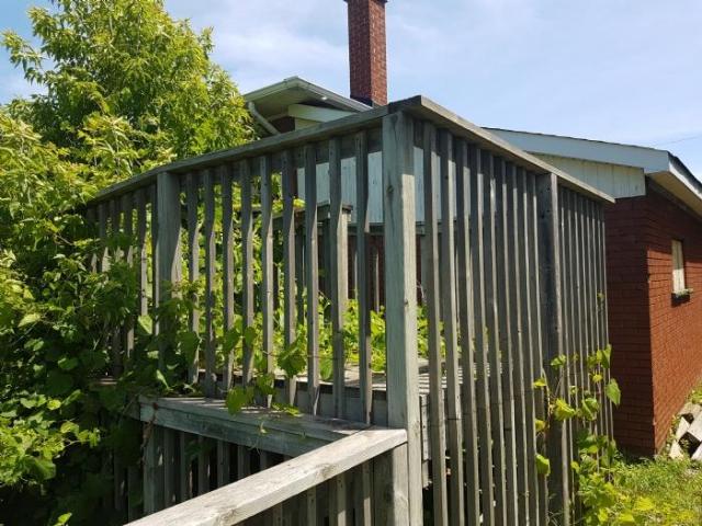 July 2019 - 20190720_125033.jpg