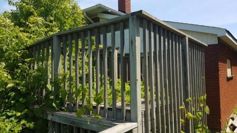 July 2019 - 20190720_125033.jpg