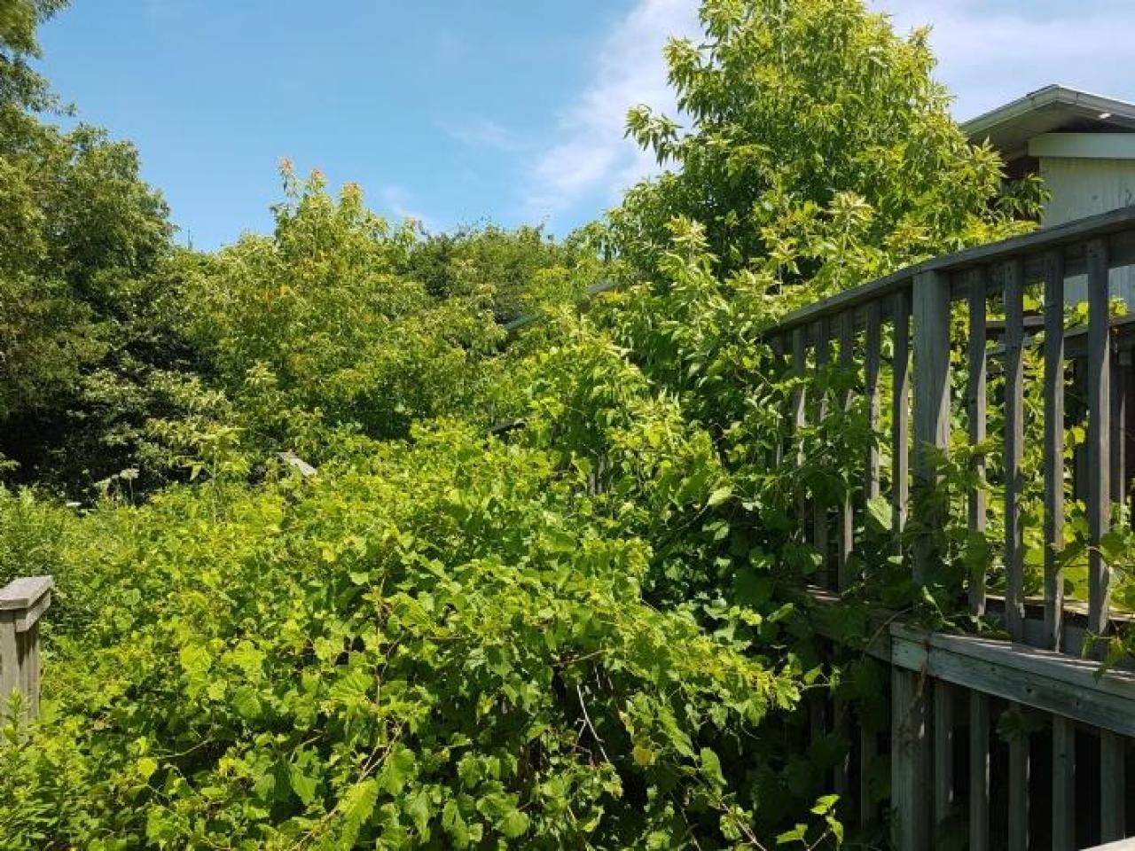 July 2019 - 20190720_125039.jpg