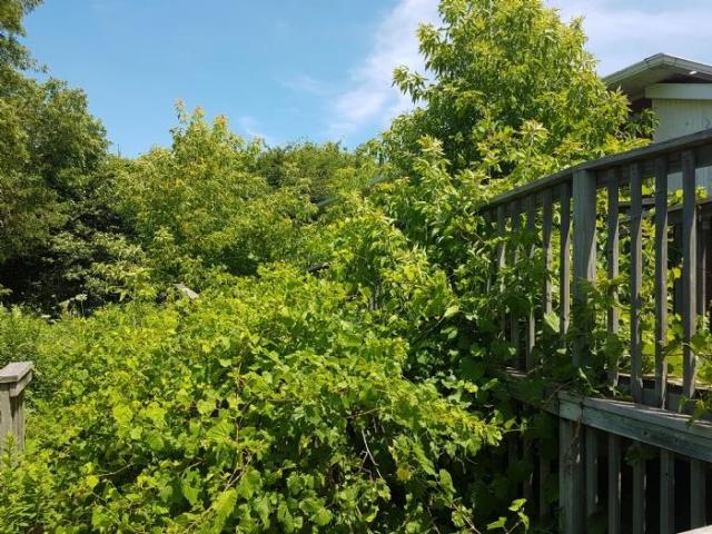 July 2019 - 20190720_125039.jpg