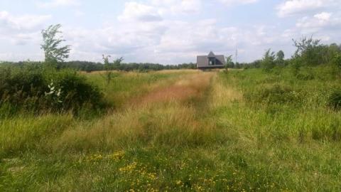 Photo from 2019 July