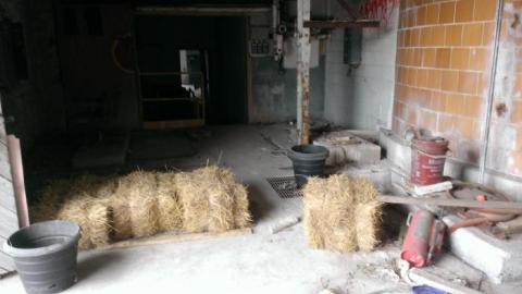 First Visit - Abandoned-Factory14.jpg