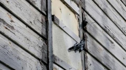 Photo from July 2019